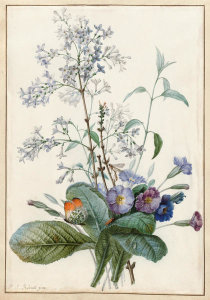 Pierre Joseph Redouté - A Bouquet of Flowers with Insects